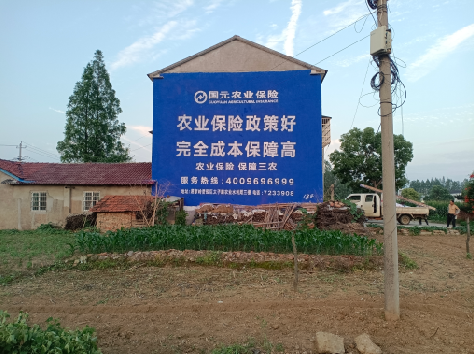 龙里墙体广告为何受追捧？