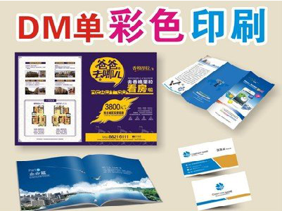 龙里单页印刷，色彩搭配简单。